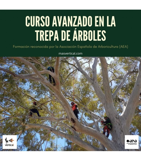 CURSO AVANZADO EN LA TREPA DE ÁRBOLES