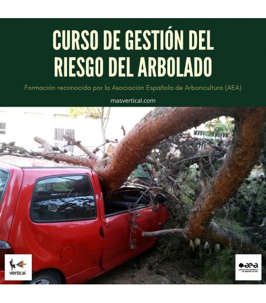 CURSO DE GESTIÓN DEL RIESGO DEL ARBOLADO